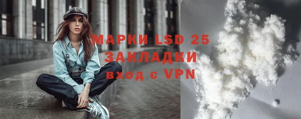 крисы Корсаков