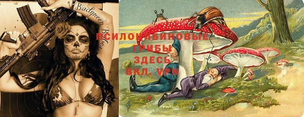 дживик Козловка
