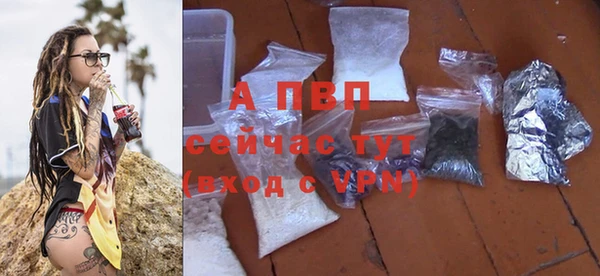 ГАЛЛЮЦИНОГЕННЫЕ ГРИБЫ Коряжма